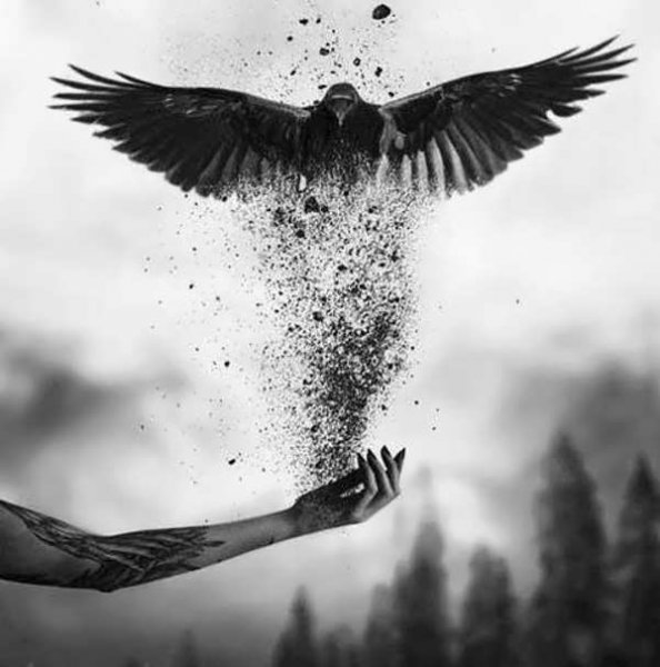  عکس جنتلمن برای پروفایل