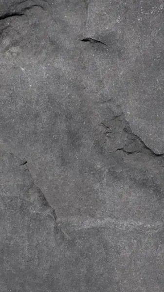  عکس خاکستری فانتزی