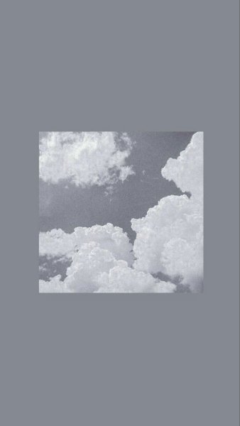  عکس طوسی تیره