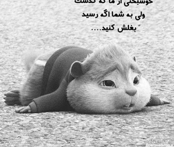  عکس پروفایل طوسی دخترانه