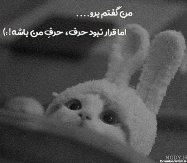  عکس پروفایل طوسی دخترانه