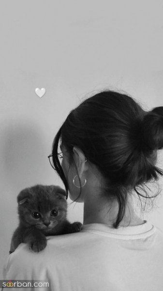  عکس پروفایل طوسی دخترانه