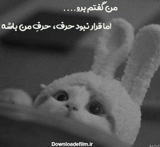  عکس پروفایل طوسی دخترانه