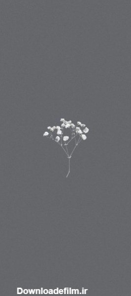  عکس خاکستری ساده