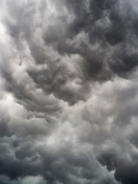  عکس طوسی روشن