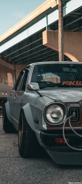 عکس طوسی روشن