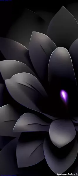  عکس طوسی کیوت