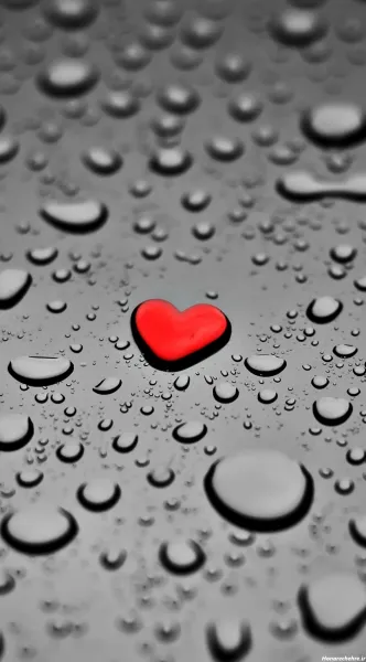  عکس طوسی کیوت