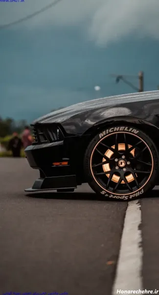  عکس طوسی کیوت