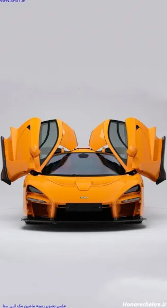  عکس طوسی کیوت