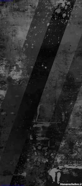  عکس طوسی کیوت