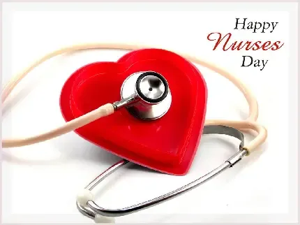  عکس پرستار فیک