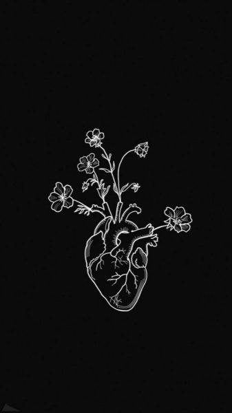  عکس پس زمینه سیاه