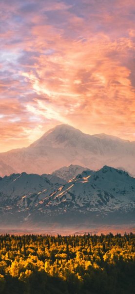 پس زمینه طبیعت برای موبایل