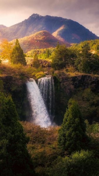  پس زمینه طبیعت برای موبایل