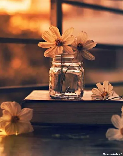  تصویر زمینه زیبا برای گوشی