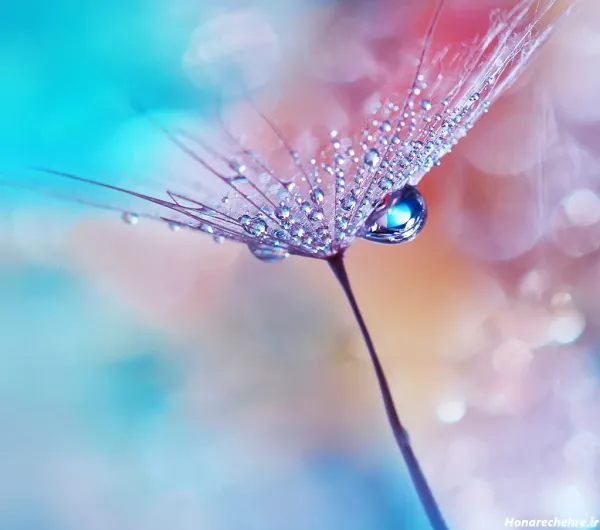  تصویر زمینه زیبا برای گوشی