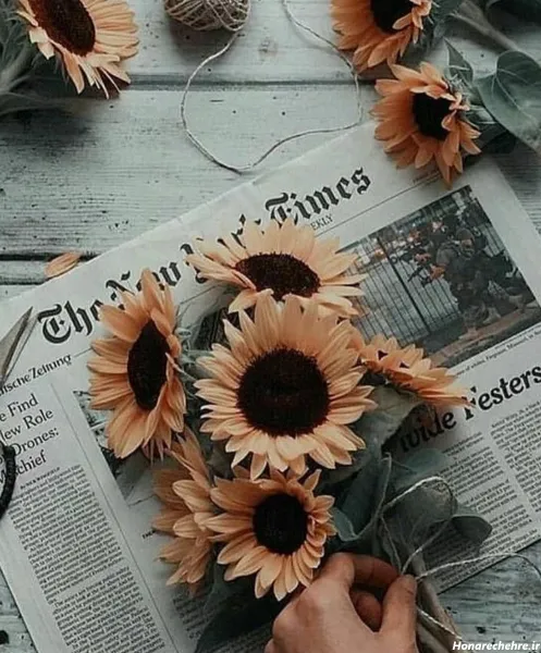  تصویر زمینه زیبا برای گوشی