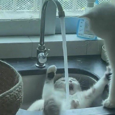  عکس تولد برای پروفایل