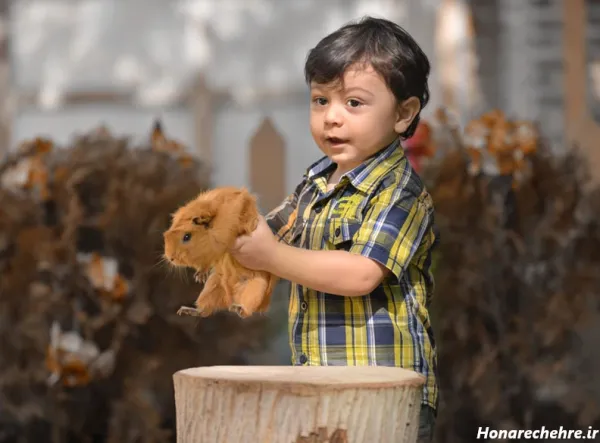  ایده عکاسی تولد کودک در طبیعت