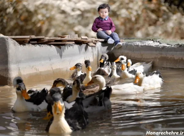 ژست عکس تولد در طبیعت با کیک