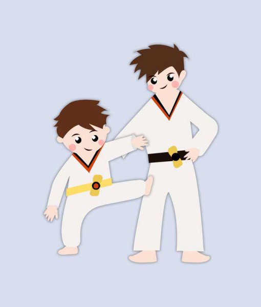  عکس مینیمال تکواندو