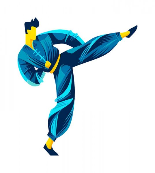  عکس مینیمال تکواندو