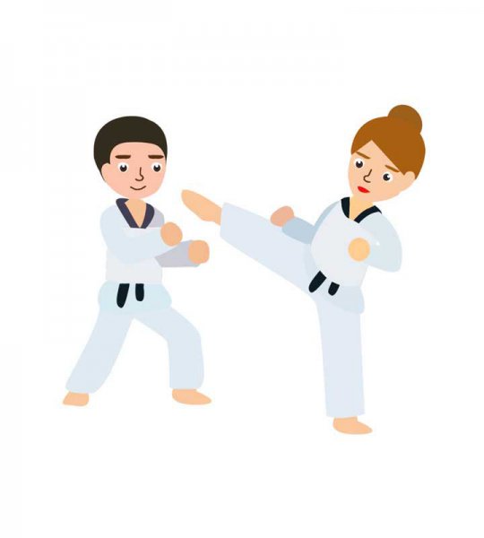  عکس مینیمال تکواندو