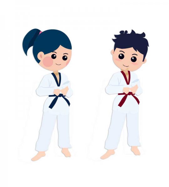  عکس مینیمال تکواندو