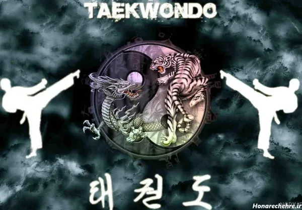  عکس تکواندو خفن برای پروفایل