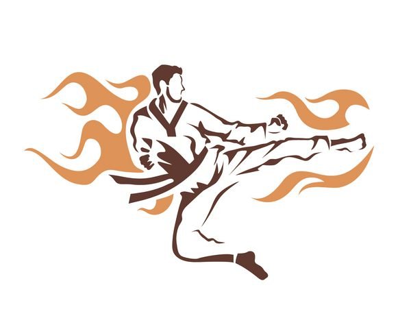  عکس تکواندو خفن پسرانه