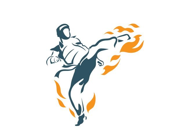  عکس تکواندو خفن پسرانه