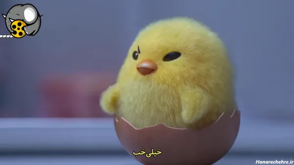  عکس جوجه فانتزی برای پروفایل