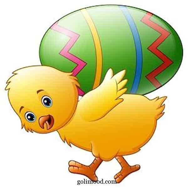  عکس جوجه کیوت