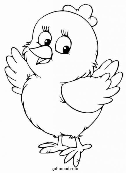  عکس جوجه کیوت