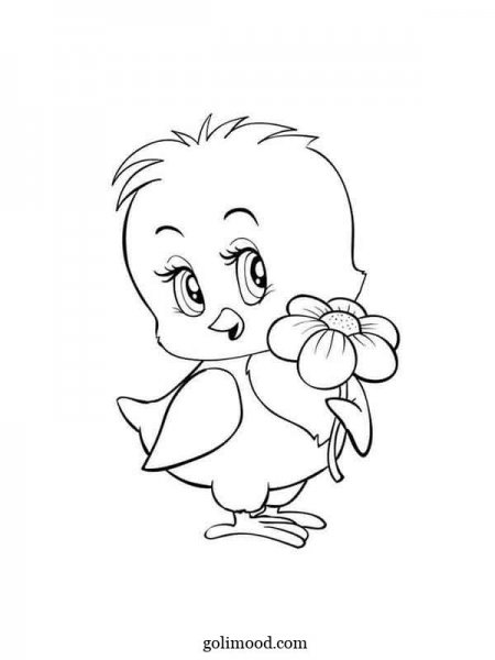  عکس جوجه کیوت