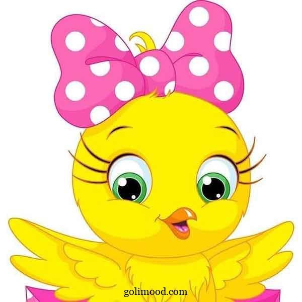  عکس جوجه کیوت