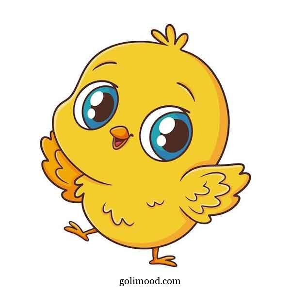  عکس جوجه کیوت