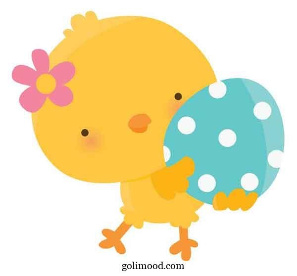  عکس جوجه کیوت