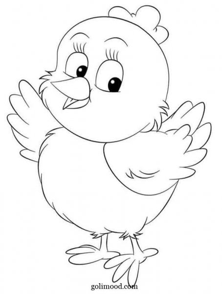  عکس جوجه کیوت