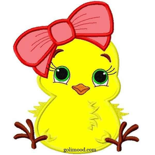  عکس جوجه کیوت