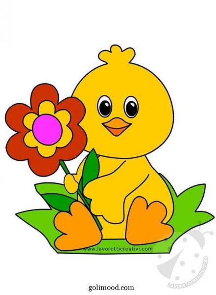  عکس جوجه کیوت