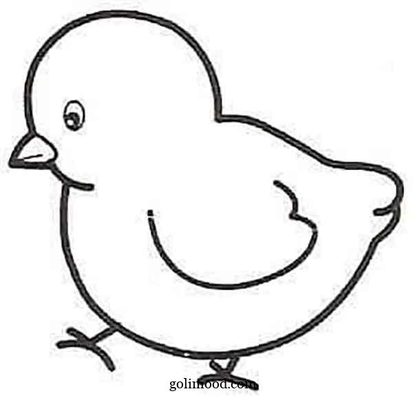  عکس جوجه کیوت