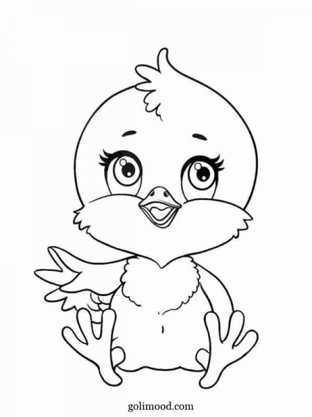  عکس جوجه کیوت