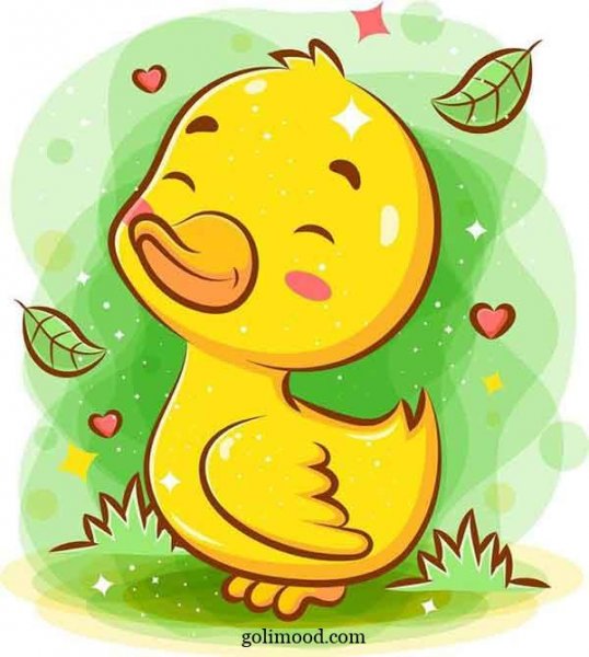  عکس جوجه کیوت