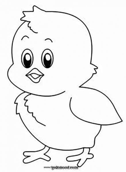  عکس جوجه کیوت