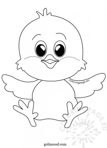  عکس جوجه کیوت