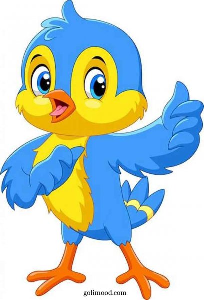  عکس جوجه کیوت