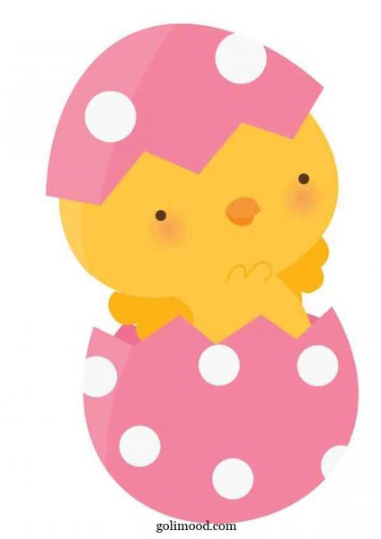  عکس جوجه کیوت