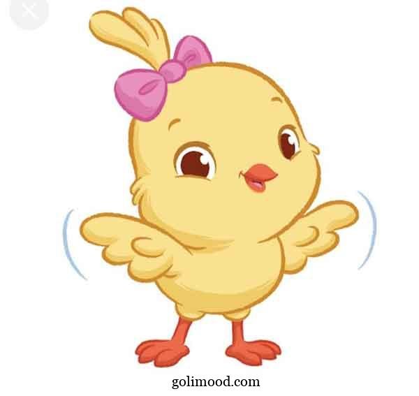  عکس جوجه کیوت